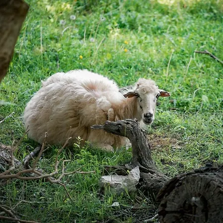 別荘 Melina Heritage House