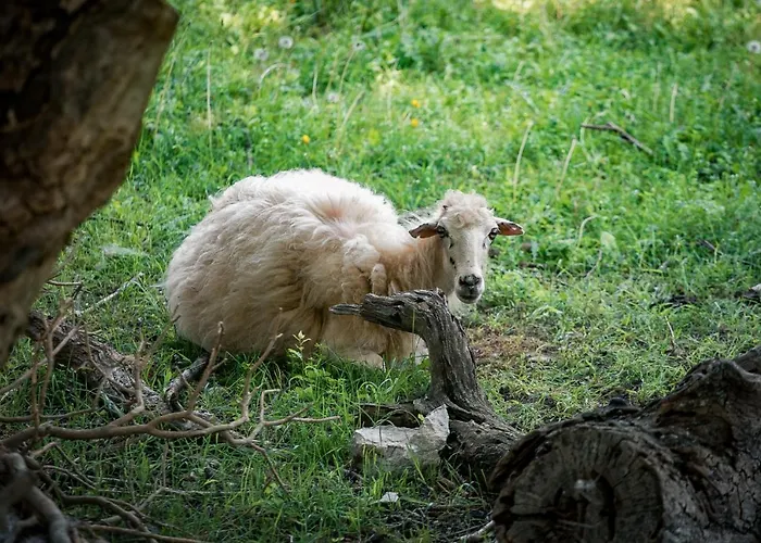 Дом отдыха Melina Heritage House